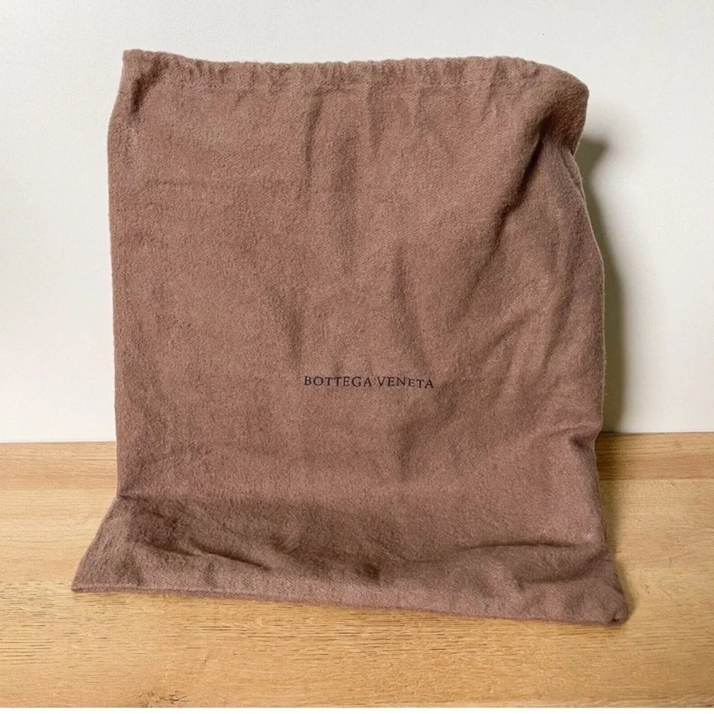 Bottega Veneta Natural Anaconda Loop Bag - Picture 10 of 10